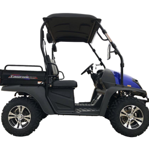 Engine Assembly for Trailmaster Taurus 200E UTV, 1MG1000000