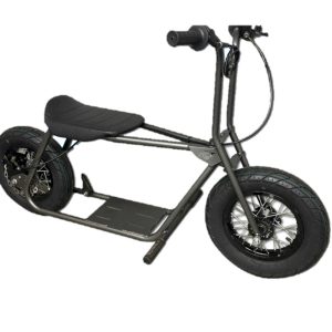 RCF Low Rider Mini-Bike, Build-A-Bike Kit